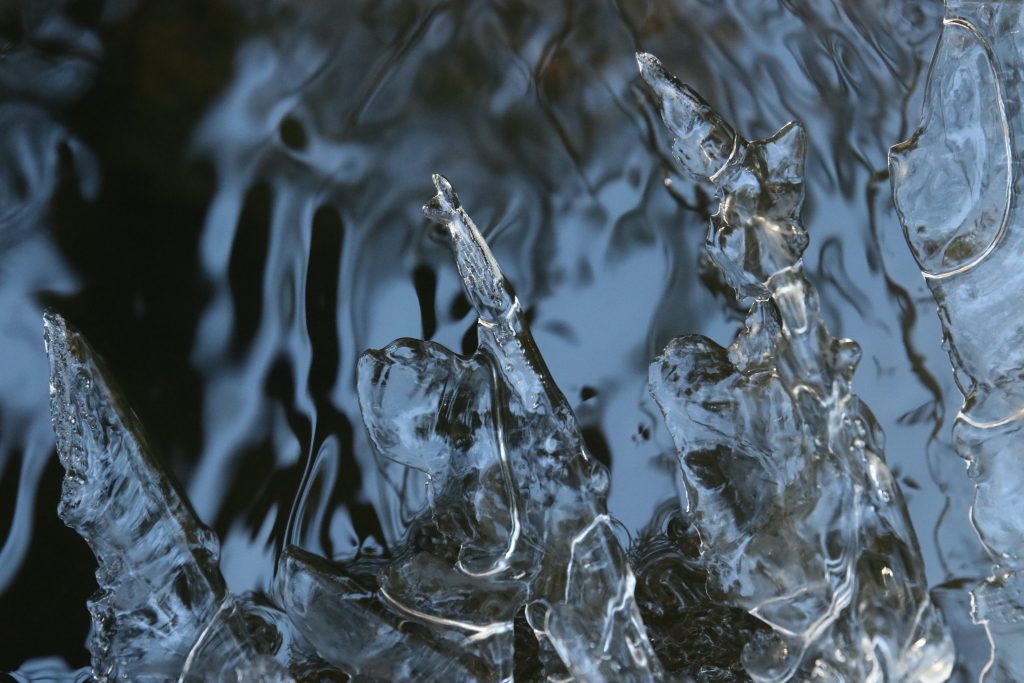 Photo of ice cycles and water in the background.