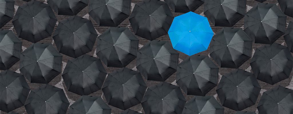 Bird's eye view of opened black umbrellas with one blue umbrella standing out.