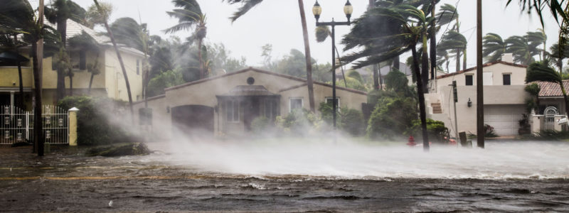 Hurricane and Weather Tracking Website