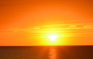 Tokio Marine Highland Releases TMH Horizons Report: Industry Forecast 2025