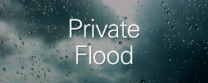 Private Flood Division SVP Tracey Reid talks NFIP lapse and more with Business Insurance